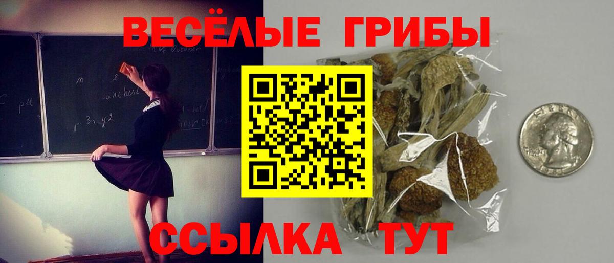 Галлюциногенные грибы GOLDEN TEACHER  Псилоцибиновые грибы мицелий  Дедовск  Вход с VPN 